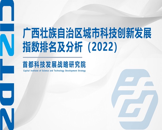 美女被操哭网站【成果发布】广西壮族自治区城市科技创新发展指数排名及分析（2022）